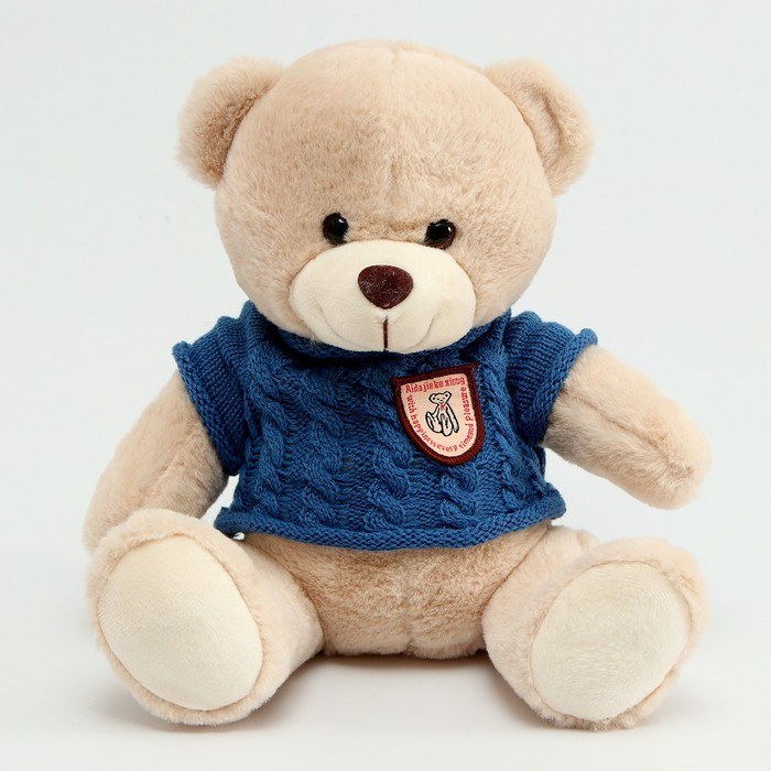Мягкая игрушка «Медвежонок» в свитере, 25 см, цвет МИКС - фото 7 - id-p215189300