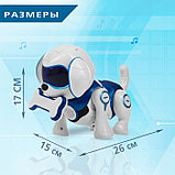 Робот-собака «Чаппи», русское озвучивание, световые и звуковые эффекты, цвет синий, фото 2