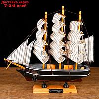 Корабль сувенирный малый "Ковда", борта чёрные с белыми полосами, паруса белые, 5,5×24×22 см