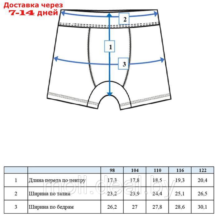 Плавки-шорты для мальчиков, рост 110 см - фото 9 - id-p214900998