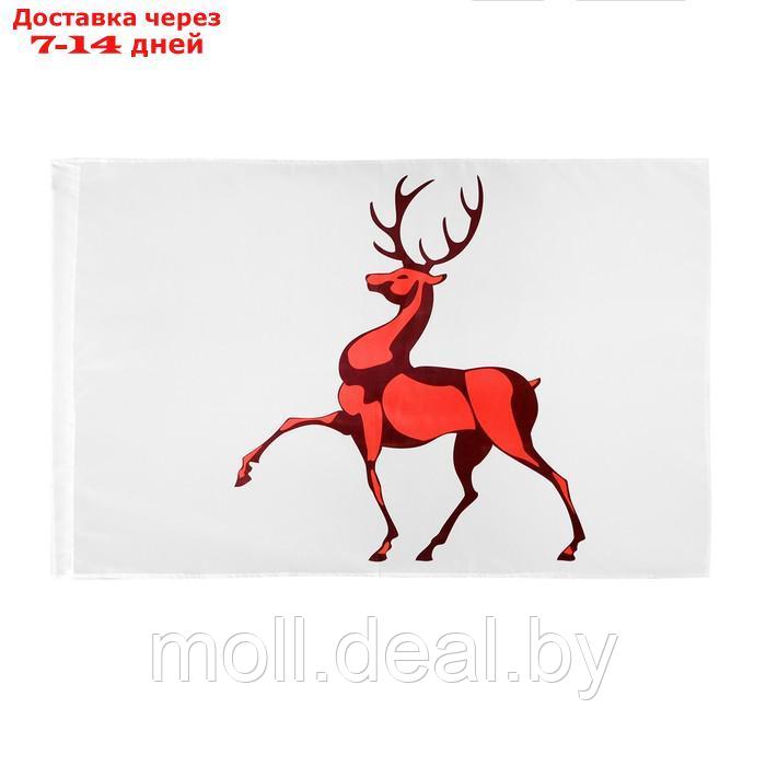Флаг Нижнего Новгорода, 90 х 135 см, полиэфирный шелк, без древка - фото 1 - id-p216652183