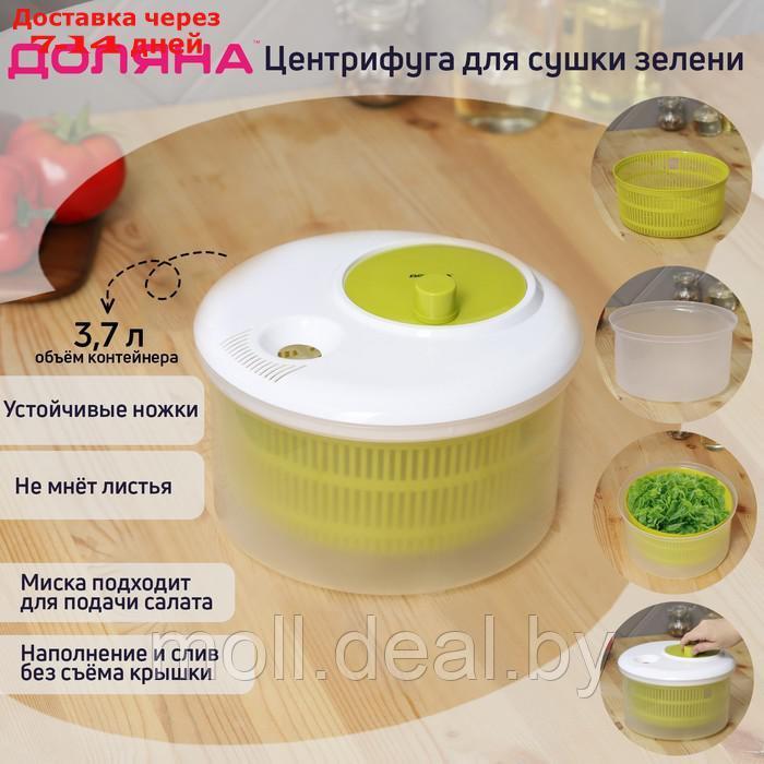 Центрифуга для сушки зелени Доляна Fresh cook, 3,7 л, пластик, цвет бело-зелёный - фото 1 - id-p216652649