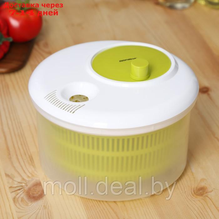 Центрифуга для сушки зелени Доляна Fresh cook, 3,7 л, пластик, цвет бело-зелёный - фото 5 - id-p216652649