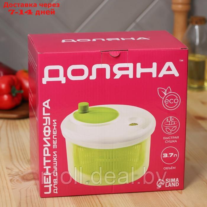 Центрифуга для сушки зелени Доляна Fresh cook, 3,7 л, пластик, цвет бело-зелёный - фото 7 - id-p216652649