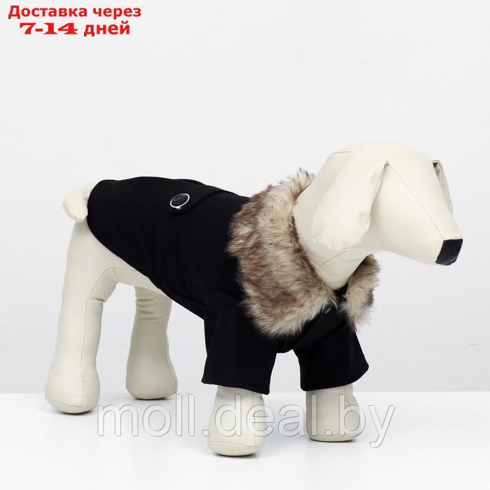 Пальто для собак, размер XS (ДС 20, ОГ 29-30, ОШ 20-21 см), чёрное - фото 3 - id-p216656145