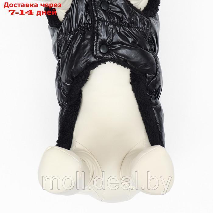 Куртка для собак "Блеск", XS (ДС 20, ОГ 28, ОШ 19 см, до 3 кг), чёрная - фото 6 - id-p216656152