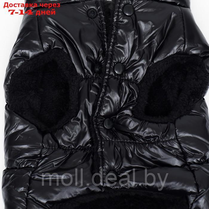 Куртка для собак "Блеск", XS (ДС 20, ОГ 28, ОШ 19 см, до 3 кг), чёрная - фото 9 - id-p216656152