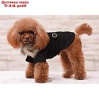 Пальто для собак, размер S (ДС 25, ОГ 38-39, ОШ 25-26 см), чёрное