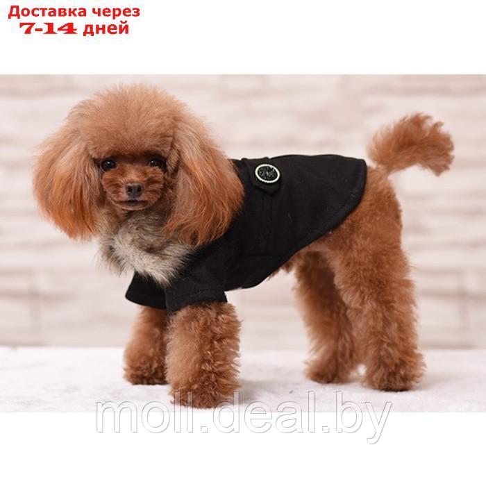 Пальто для собак, размер S (ДС 25, ОГ 38-39, ОШ 25-26 см), чёрное - фото 1 - id-p216656154