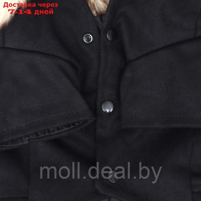 Пальто для собак, размер S (ДС 25, ОГ 38-39, ОШ 25-26 см), чёрное - фото 2 - id-p216656154