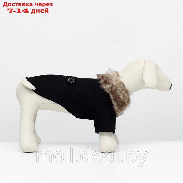 Пальто для собак, размер S (ДС 25, ОГ 38-39, ОШ 25-26 см), чёрное - фото 4 - id-p216656154