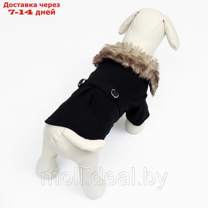 Пальто для собак, размер S (ДС 25, ОГ 38-39, ОШ 25-26 см), чёрное - фото 5 - id-p216656154