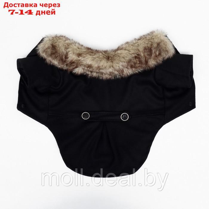 Пальто для собак, размер S (ДС 25, ОГ 38-39, ОШ 25-26 см), чёрное - фото 10 - id-p216656154