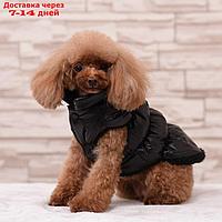 Куртка для собак "Блеск", S (ДС 25, ОГ 37, ОШ 24 см, до 5 кг), чёрная