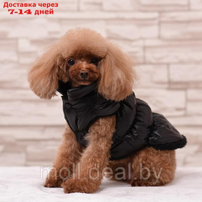Куртка для собак "Блеск", S (ДС 25, ОГ 37, ОШ 24 см, до 5 кг), чёрная - фото 1 - id-p216656184