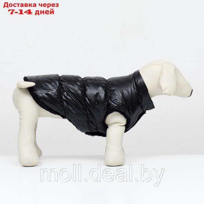 Куртка для собак "Блеск", S (ДС 25, ОГ 37, ОШ 24 см, до 5 кг), чёрная - фото 3 - id-p216656184