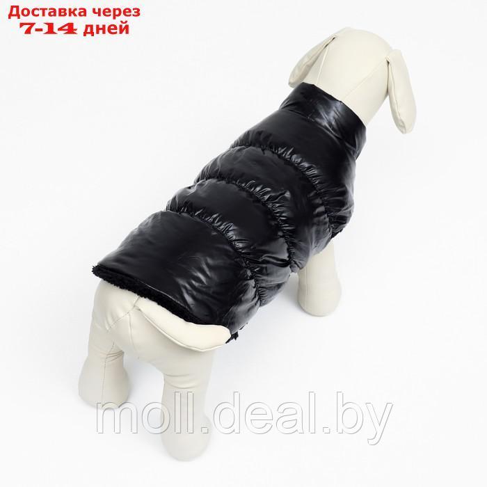 Куртка для собак "Блеск", S (ДС 25, ОГ 37, ОШ 24 см, до 5 кг), чёрная - фото 4 - id-p216656184