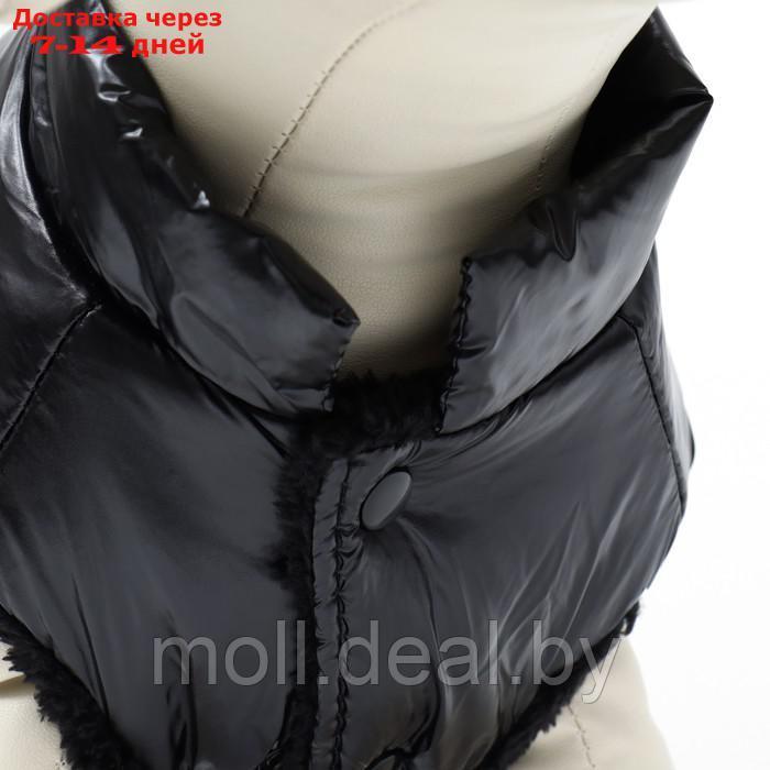 Куртка для собак "Блеск", S (ДС 25, ОГ 37, ОШ 24 см, до 5 кг), чёрная - фото 5 - id-p216656184