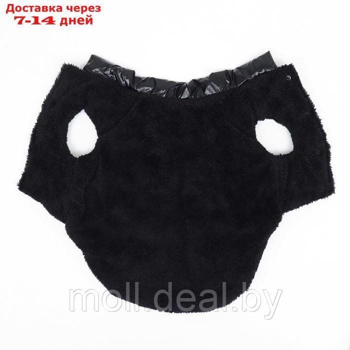 Куртка для собак "Блеск", S (ДС 25, ОГ 37, ОШ 24 см, до 5 кг), чёрная - фото 7 - id-p216656184