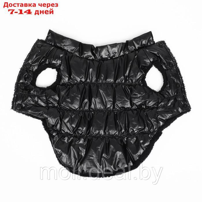 Куртка для собак "Блеск", S (ДС 25, ОГ 37, ОШ 24 см, до 5 кг), чёрная - фото 8 - id-p216656184