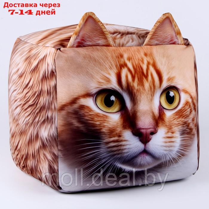 Антистресс кубы "кот", рыжий - фото 2 - id-p216656204
