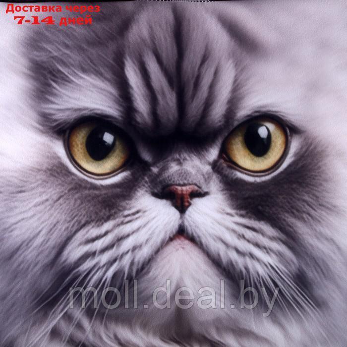 Антистресс кубы "кот", серый, угрюмый - фото 3 - id-p216656205