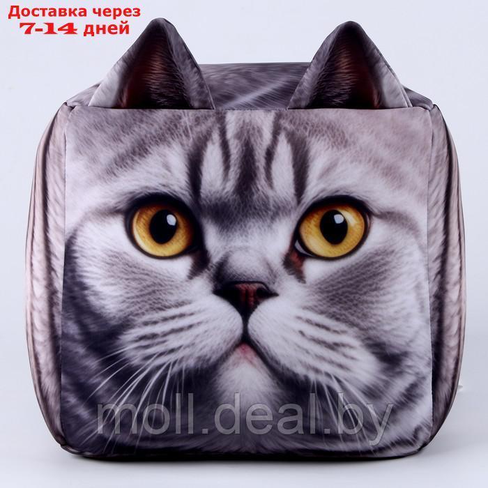 Антистресс кубы "кот", серый - фото 1 - id-p216656209