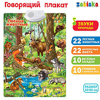 Говорящий электронный плакат «Лесные животные», работает от батареек