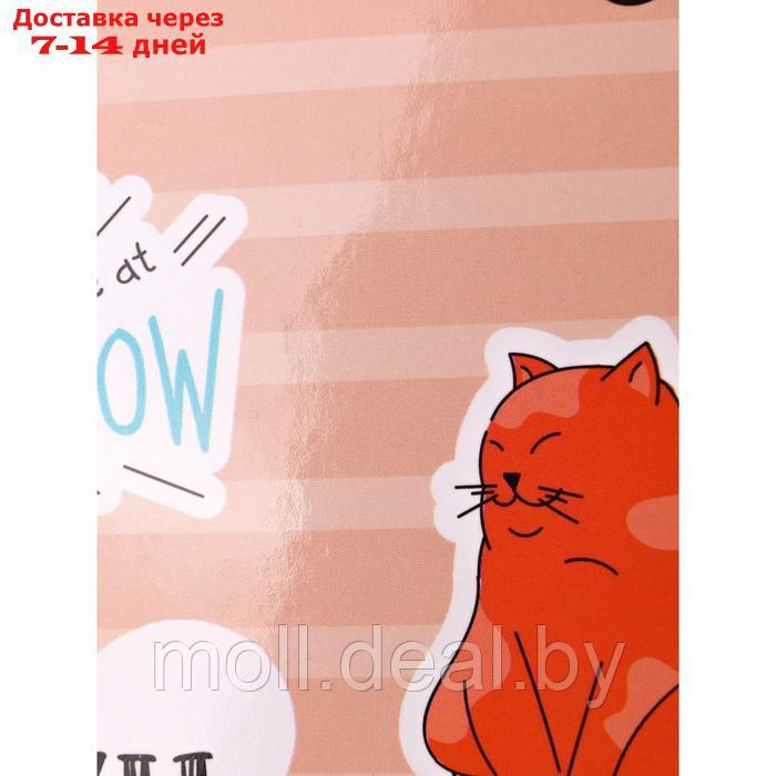 Ежедневник недатированный 150 х 204 мм, 96 листов "Коты", твёрдая обложка, глянцевая ламинация, с трафаретом - фото 8 - id-p216654713