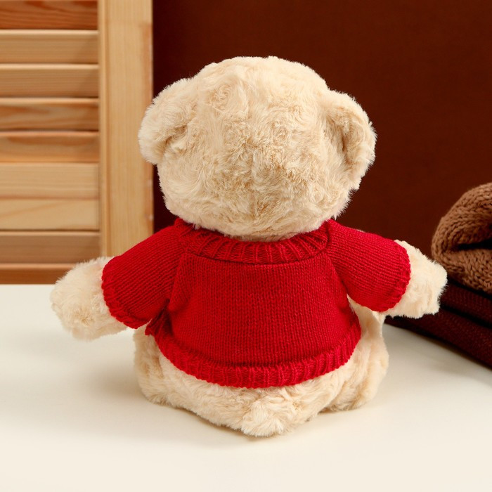 Мягкая игрушка «Медведь» в кофте с ромбиками, 25 см, цвет МИКС - фото 4 - id-p215138170