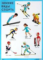 Плакат «Зимние виды спорта» 500*690 мм