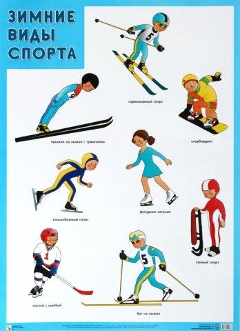 Плакат «Зимние виды спорта» 500*690 мм - фото 1 - id-p216717491