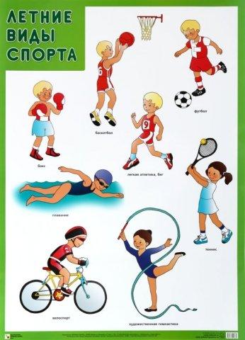 Плакат «Летние виды спорта» 500*690 мм - фото 1 - id-p216717492