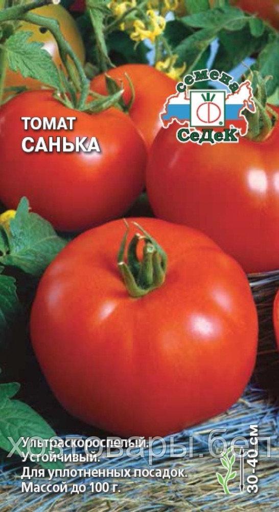 Томат Санька 0,1г Дет Ранн (Седек)