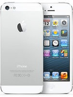 Дисплейный модуль APPLE iPhone 5G черный/белый, фото 2