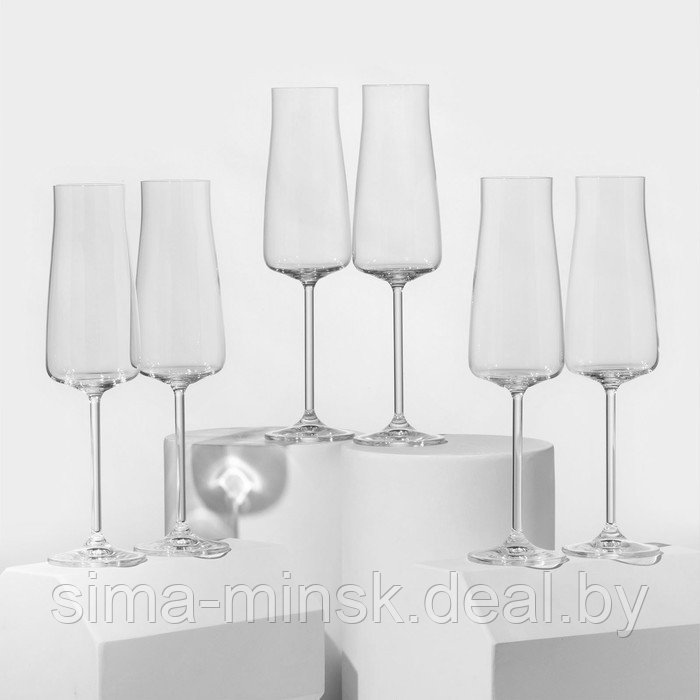 Набор бокалов для шампанского Alex, стеклянный, 210 мл, 6 шт - фото 1 - id-p216676349