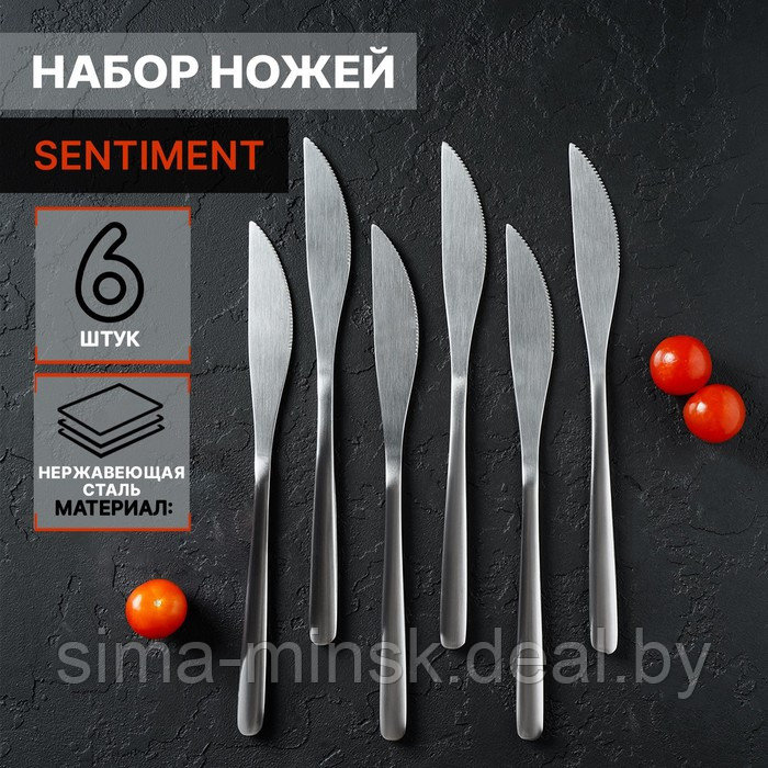 Набор ножей столовых из нержавеющей стали Доляна Sentiment, h=23 см, 6 шт, цвет серебряный - фото 1 - id-p199624331