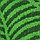 Полотенце махровое Tropical color, 100х150 см, цвет зелёный, фото 2