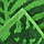 Полотенце махровое Tropical color, 100х150 см, цвет зелёный, фото 3