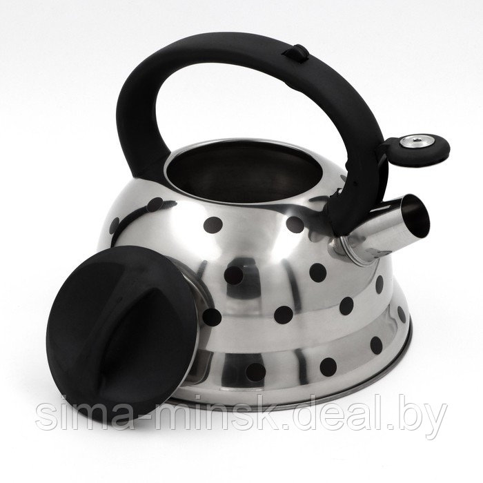 Чайник со свистком из нержавеющей стали Доляна «Горошек», 2,8 л, цвет хромированный - фото 2 - id-p163099505