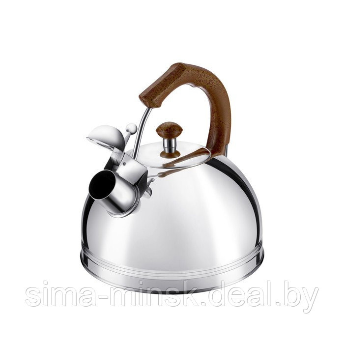 Чайник Regent inox Tea, со свистком, 3.5 л - фото 3 - id-p215141236