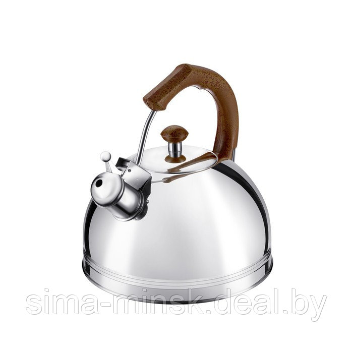 Чайник Regent inox Tea, со свистком, 3.5 л - фото 6 - id-p215141236