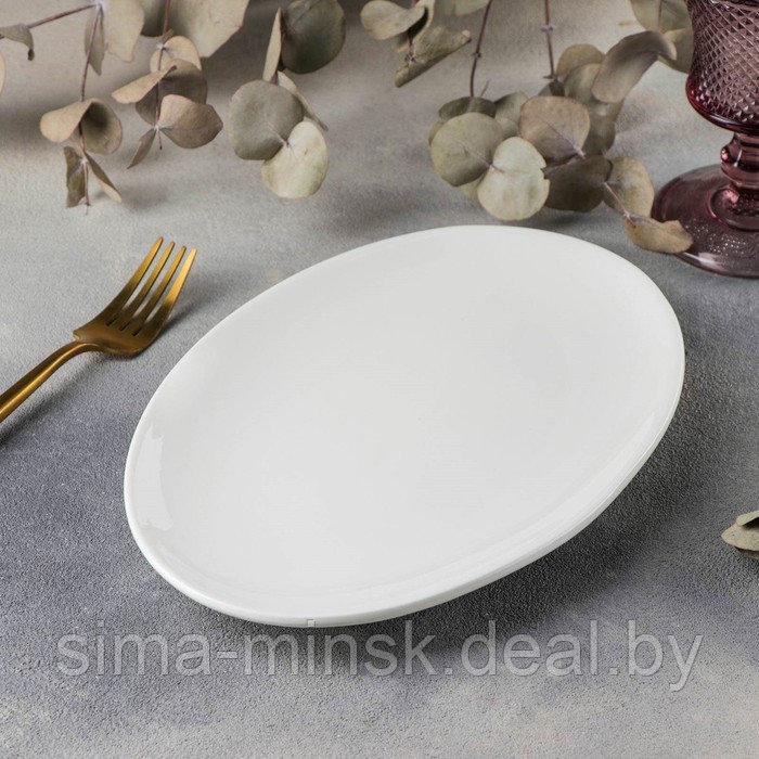 Блюдо фарфоровое овальное Wilmax Olivia, 25,5×17 см, цвет белый - фото 2 - id-p177058024