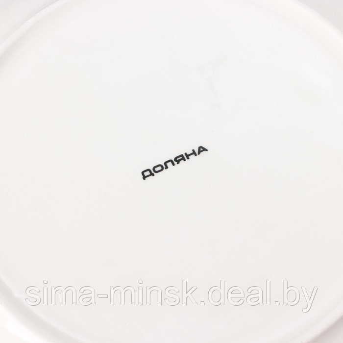 Тарелка фарфоровая обеденная Доляна «Лаванда», d=27 см, цвет белый - фото 6 - id-p211525393
