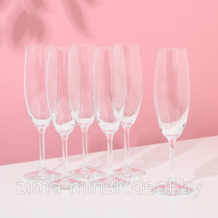 Набор бокалов для шампанского «Лара», 220 мл, 6 шт - фото 1 - id-p199565845