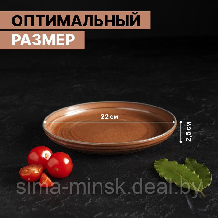 Тарелка фарфоровая обеденная Magistro Garland, d=22 см, цвет коричневый - фото 2 - id-p196821290