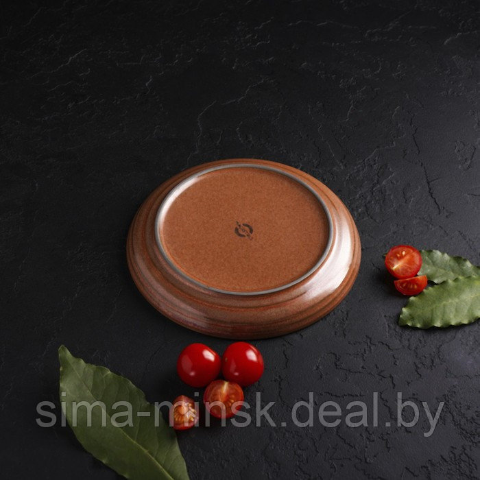 Тарелка фарфоровая обеденная Magistro Garland, d=22 см, цвет коричневый - фото 6 - id-p196821290