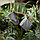 Прихватка «Ибица», размер 20х20 см, цвет тёмно-серый, фото 2