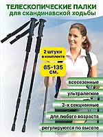 Телескопические палки для скандинавской ходьбы Onlitop 65-135см (чёрный)