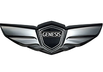 Коврики в салон и багажник на Genesis